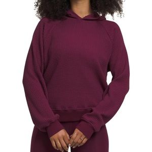 The North Face Chabot Hoodie